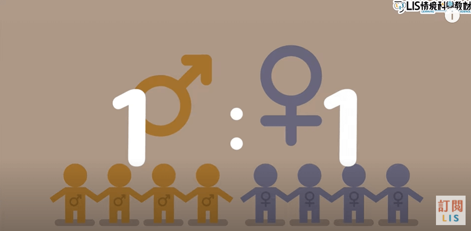 性別的機率
