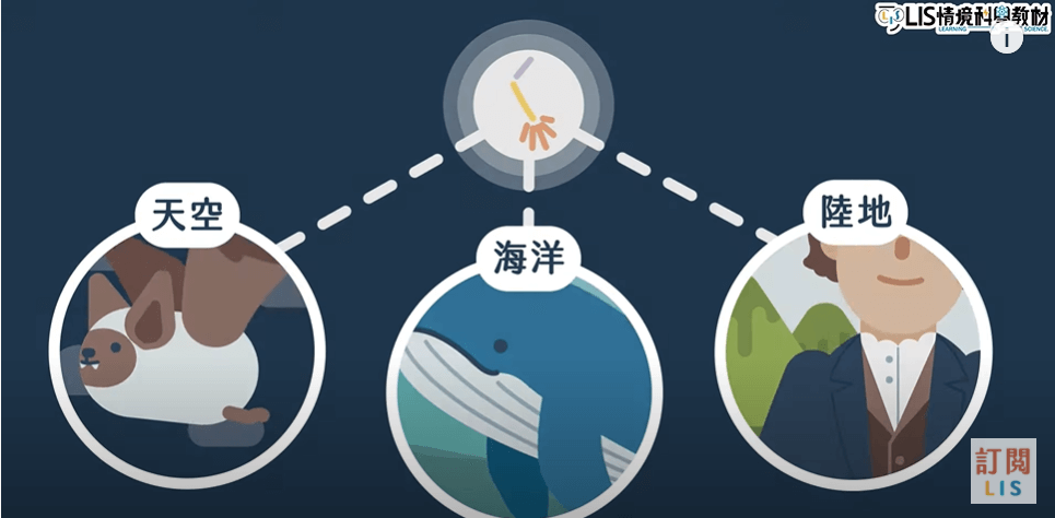 真實性_鯨魚鰭狀前肢擺動